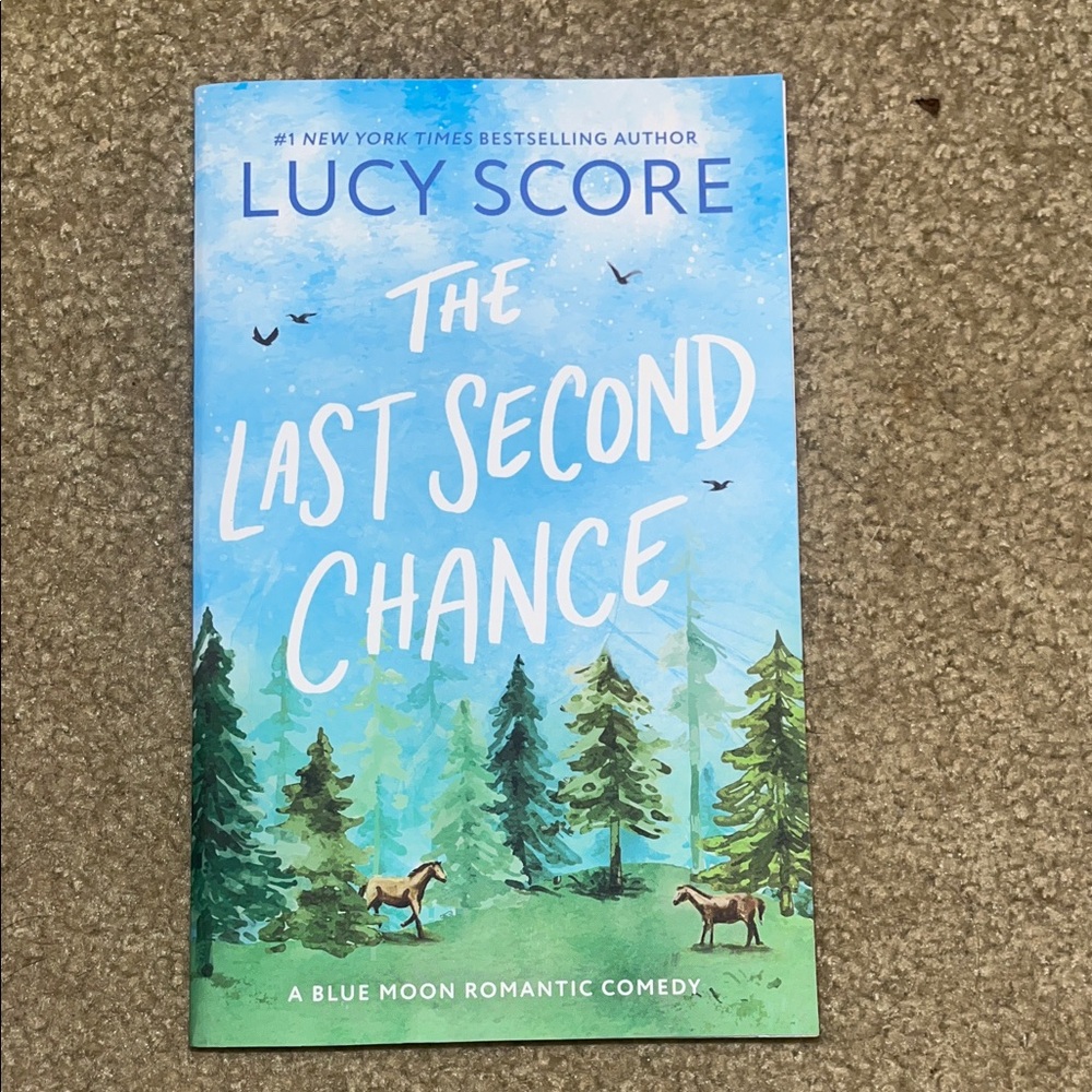 The Last Second Chance Book by Lucy Score